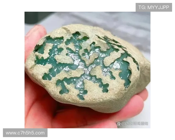 翡翠直播选购全攻略：教你如何辨别真伪与价值